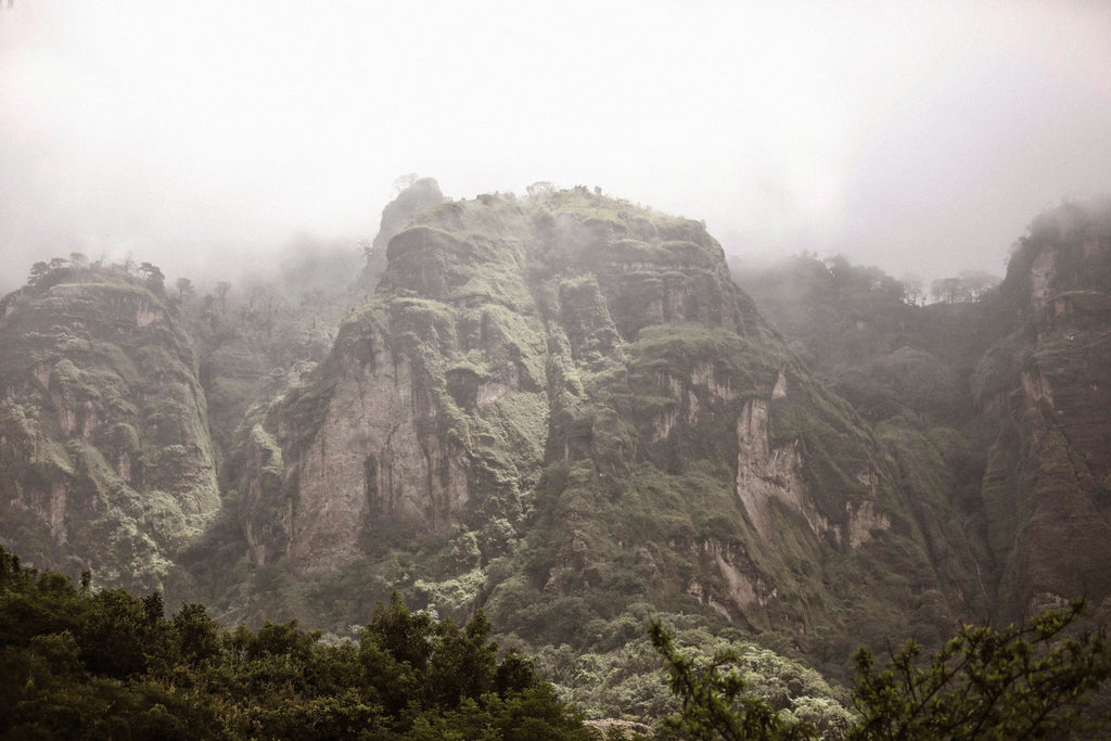 The Awakening Portal – Retiro de Despertar y Renacimiento