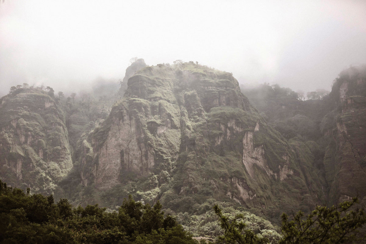 The Awakening Portal – Retiro de Despertar y Renacimiento