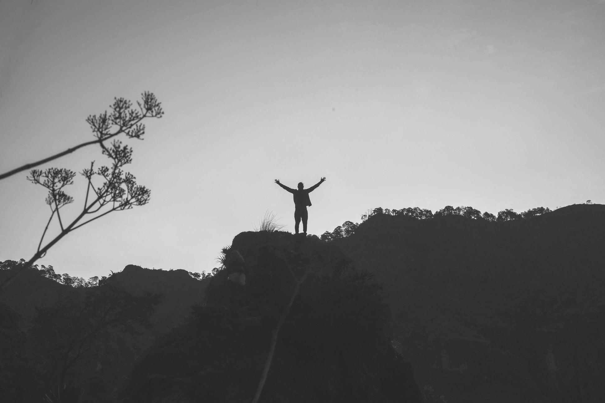 The Awakening Portal – Retiro de Despertar y Renacimiento