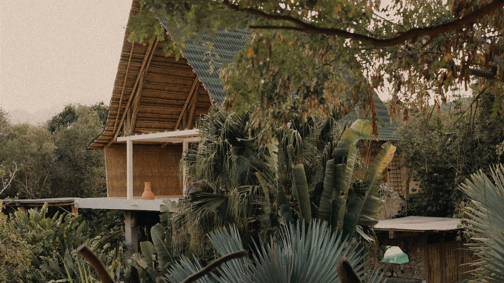 The Awakening Portal – Retiro de Despertar y Renacimiento